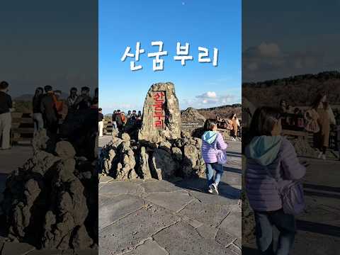 가을 제주 필수코스, 산굼부리 억새 산책