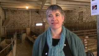 Le Mohair Du Pays De Corlay