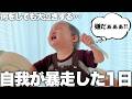 最近のミニぎしが号泣して激怒して大暴れする1日密着したら自我まみれで想像を超えてきました