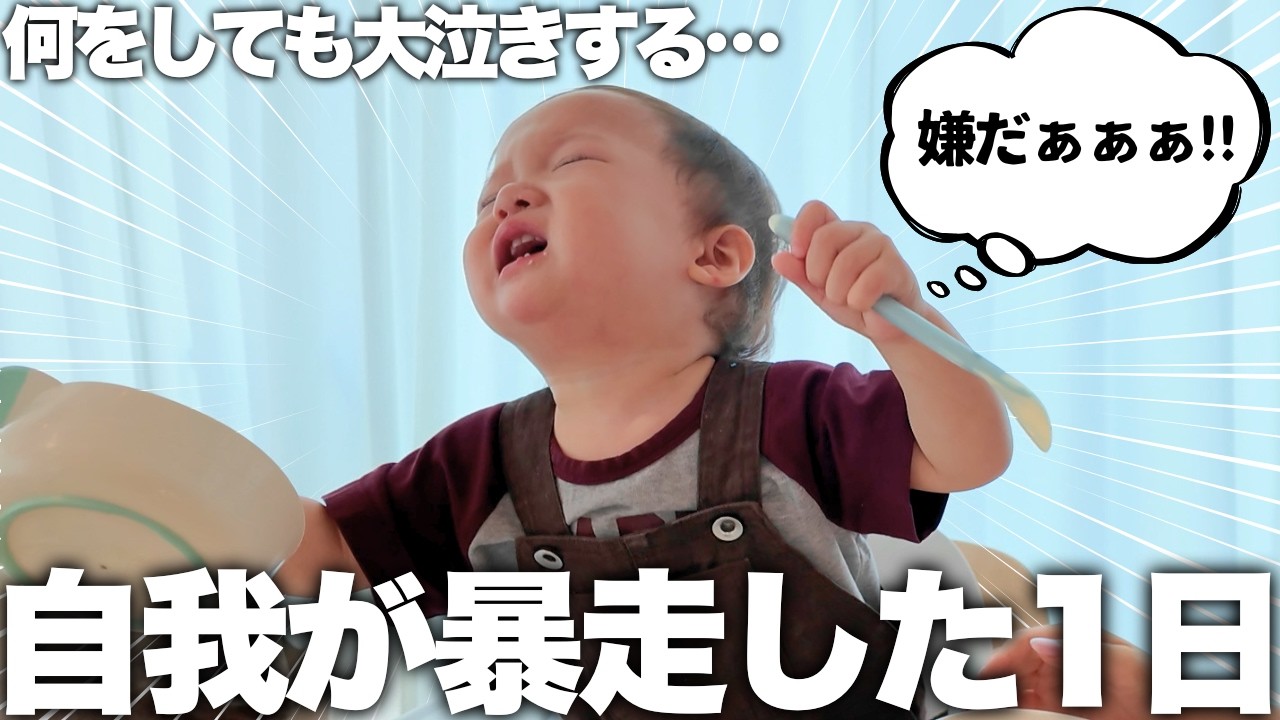 最近のミニぎしが号泣して激怒して大暴れする1日密着したら自我まみれで想像を超えてきました
