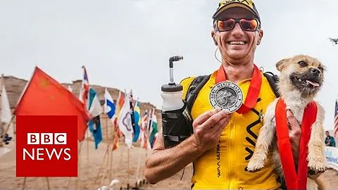 Stray dog joined extreme runner during China race ...