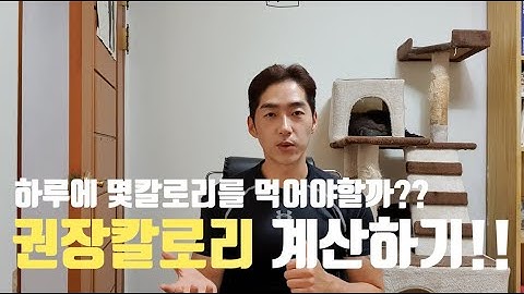 다이어트 칼로리 계산하기 / 권장칼로리 계산하기  체지방감량식단 - 슬림핏다이어트임피티IMPT