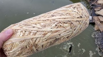 Barley Straw Pond Treatment - Will it clear your pond water?