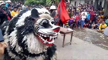 BANASPATI & SINGOBARONG MUNCUL BUDOYO || LIVE KUNIR PASINAN