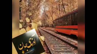 تولد آذری ها ، متولدین آذر آذرماهی آذری متولد آذر تولد آذر ماه آذرماه