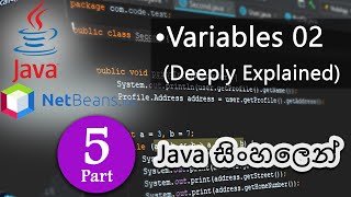 Java with Netbeans in Sinhala: Java Variables Explained | Java lesson part 05 by Movindu