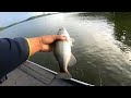 Shearon harris lake bass fishing