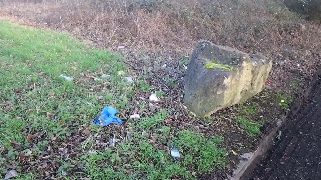 Осматриваем возможное место для уборки мусора в будущем.