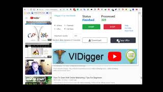 VIDigger- The Most Advanced Targeting Tools Available For YouTube Video Ads