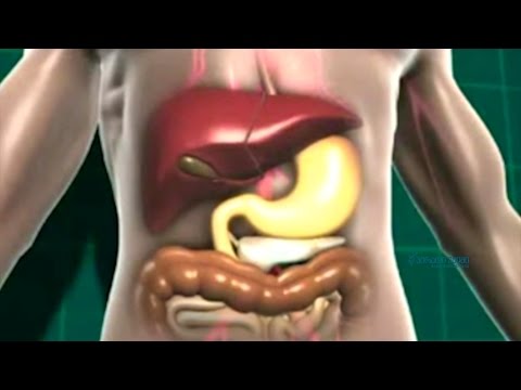 მეტაბოლიზმის გაუმჯობესების გზები