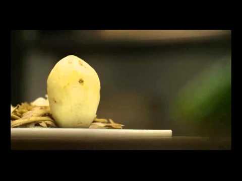 5 Star - Aloo and Karela #NoHardFillings - YouTube