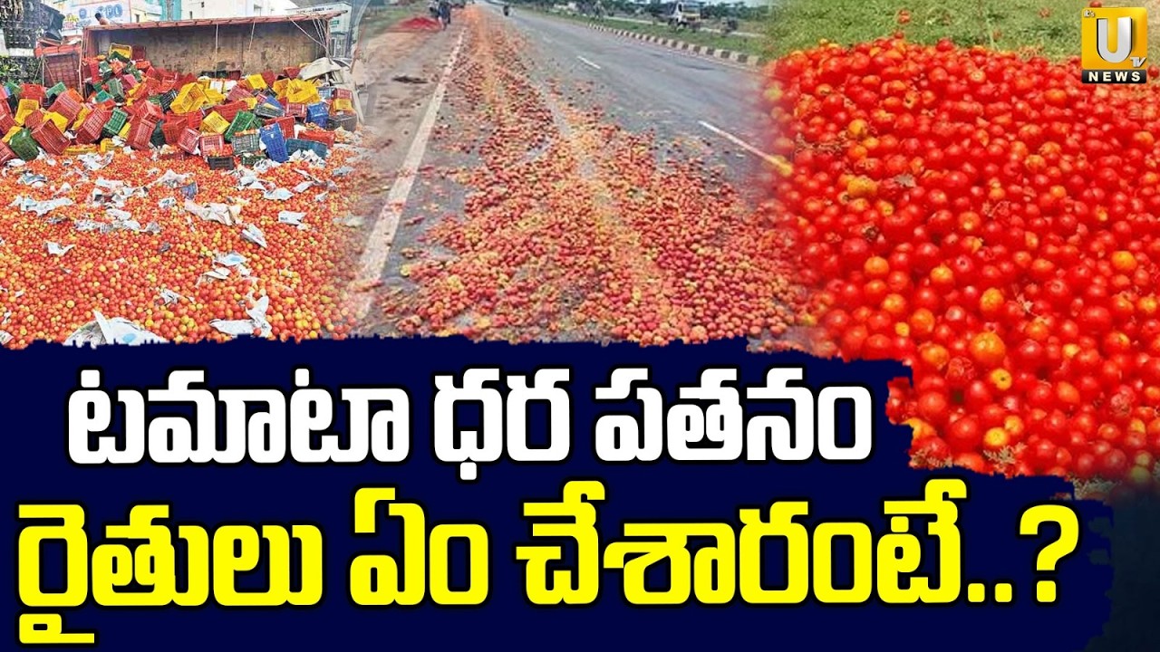 Tomato Prices Fall Down | రోడ్డుపై కుప్పలుగా టమాటాలు | Tomato Farmers Protest | Dhone | ITS UTV