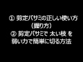 植木一筋４２年 　　庭師　武笠　均　第２６期　第２号職場適応援助者　① 剪定バサミの正しい使い方（握り方）及び ② 剪定バサミで太い枝を弱い力で簡単に切る方法