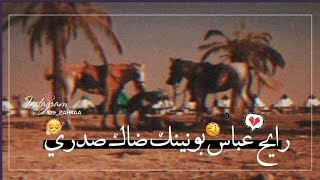 رايح عباس بونينك ضاك صدري💔🥀||•مسلم الوائلي💔😔||حالات وتساب