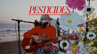 MOSELLE: PESTICIDES (ECHOES SESSION - A SECOND SONG)