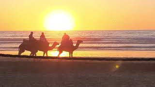 Agadir Sunset (Short)