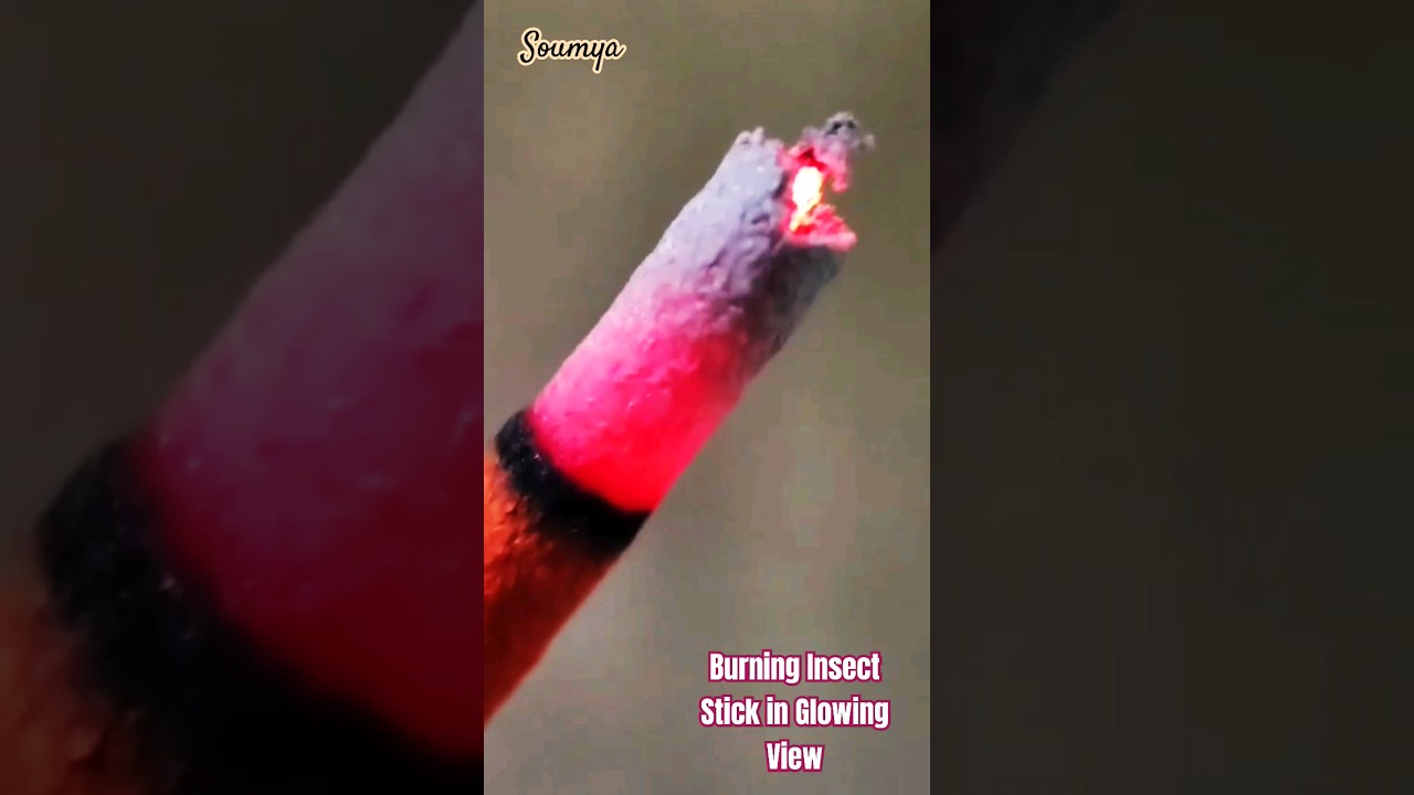Burning insect stick glowing view 