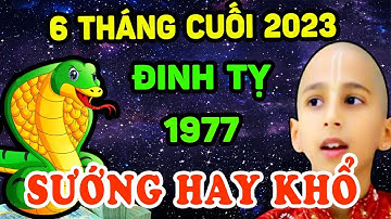 Sách Trời Đã Định Đinh Tỵ 1977 Nắm Được Lộc Trời, Giàu Nứt Vách 6 Tháng Cuối Năm 2023