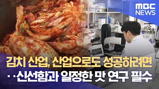 김치 산업, 산업으로도 성공하려면..신선함과 일정한 맛 연구 필수 (2023.11.22/뉴스데스크/광주MBC)