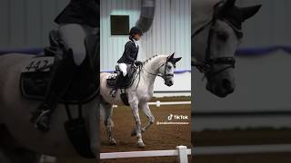 LOOK WHAT AHYA POSTED OF US🤩 #arabianhorse