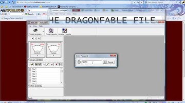 Dragonfable Free Dragon Amulet Hack