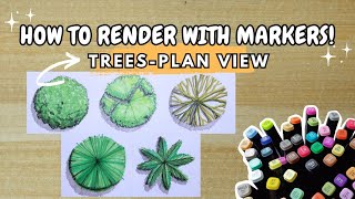 HOW TO RENDER TREES/FOLIAGE (PLAN VIEW) USING MARKERS - ARKI TUTORIALS