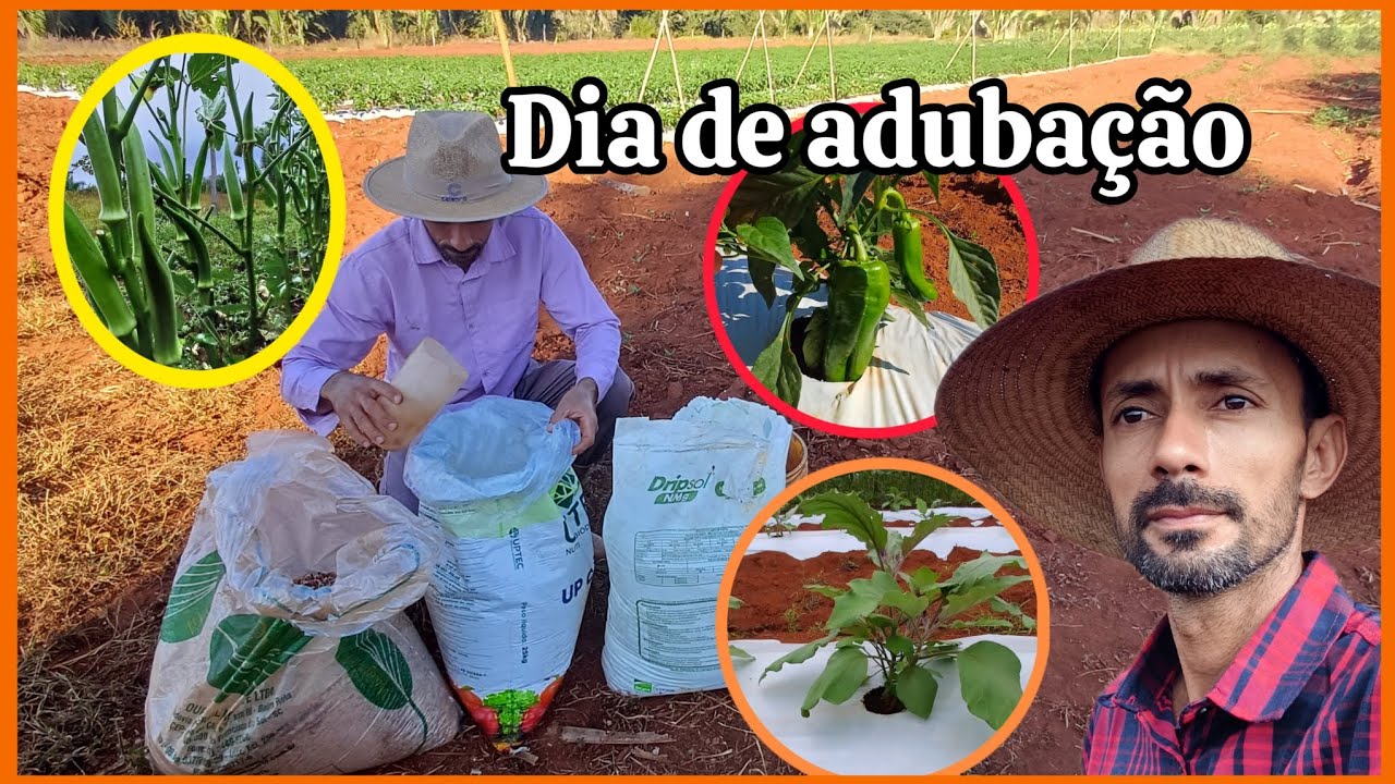 Como fazer a mistura dos adubos para fertirrigação, nitrogênio, potacio, cálcio e magnésio.