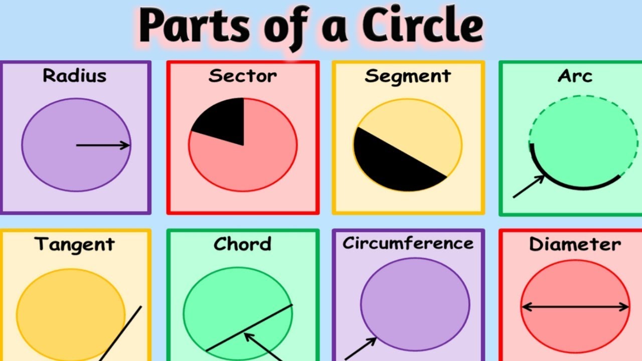 radius and diameter of a circle