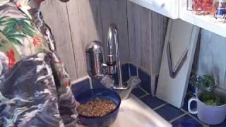 Clean Your Dirty Nuts