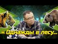 Лесная самооборона 🐻🐯