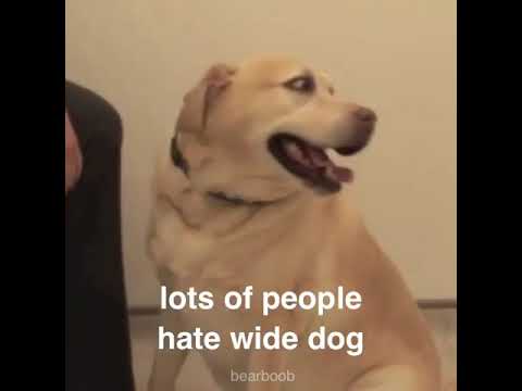 Sprite Cranberry Meme Dog