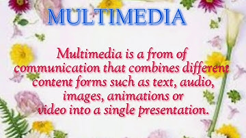 CLASS 4 II CHAPTER 6 II MULTIMEDIA & IT