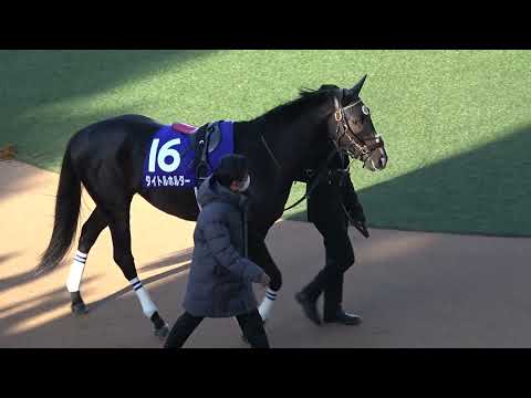 2021 第66回有馬記念GⅠ パドック 現地映像 エフフォーリア