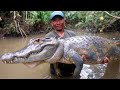 How One Village's "Secret" Trap Caught the KILLER Black Caiman