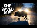 She Lay in the Road for Hours… To Save a Life