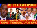 KENYANS EXPOSE RUTO'S PLAN: USING WANGA & MUTAHI KAHIGA TO  STIR HATRED BETWEEN LUOS AND KIKUYUS.