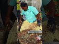 Seala Fish Cutting Video Kasimedufishmarket Fishcuttingsk Shorts Seala Fish Cutting Video Kasimedufishmarket Fishcuttingsk Shorts