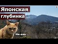 Пешком в горы/пробуем другое авто/Рыжая Оппа болтает  — Влог о Японии от Пан Гайджин