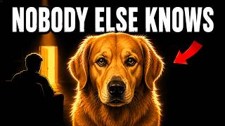 15 Scary-Accurate Things Your Dog Knows About You