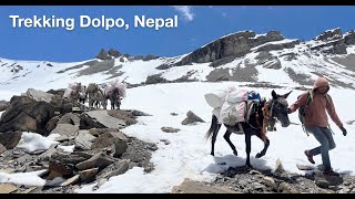 Trekking Dolpo & Mustang, Nepal, June 