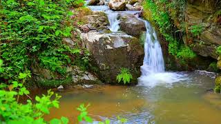 4K HDR Spectacular waterfall flowing in mountain forest.  Relaxing waterfall sounds.