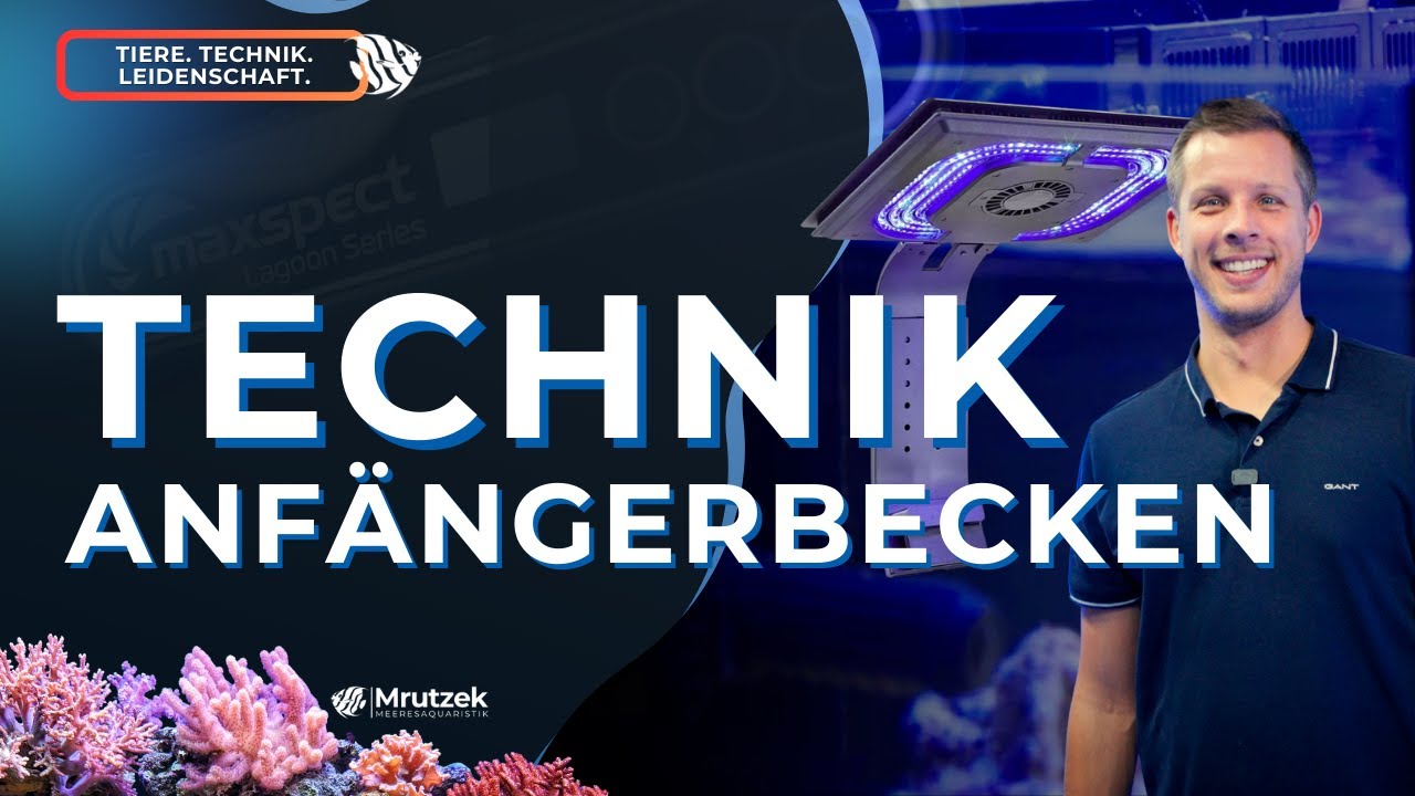 Teil 10: Technik, Syna-G App, Bolus Lichteinstellungen | Meerwasseraquarium für Anfänger