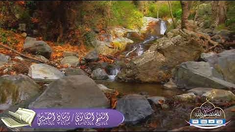 تلاوة عــذبة لسورة المرسلات بصوت الشيخ - رشاد القدسي حفظه الله