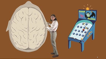 Walk inside a metaphor