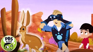 Wild Kratts | Jackrabbit Animal Powers! | PBS KIDS