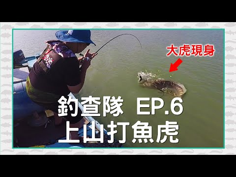 【CZB釣查隊EP.6】第一次釣 魚虎，沒想到被震撼教育！水表炸裂，CZB三人都開胡 Giant snakehead|小盾鱧|toman|曾文水庫|巨大雷魚