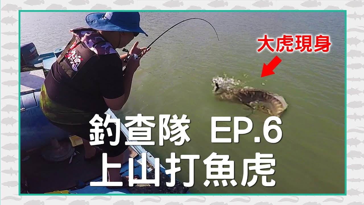 【CZB釣查隊EP.6】第一次釣 魚虎，沒想到被震撼教育！水表炸裂，CZB三人都開胡  Giant snakehead|小盾鱧|toman|曾文水庫|巨大雷魚