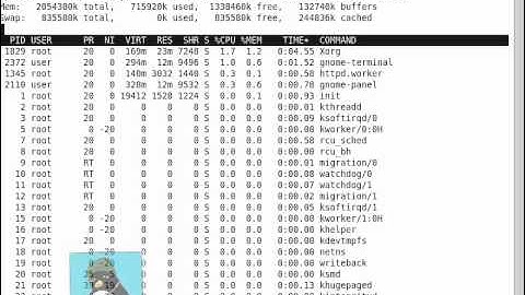 LPIC-2 200.1 Load Averages from uptime, sar, top and w