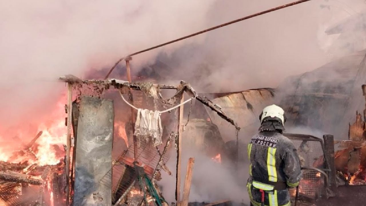 Приют для животных сгорел в Екатеринбурге. Около 40 собак погибли в огне