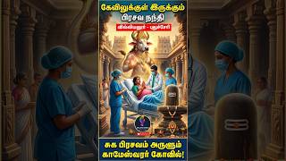 Pondy Villianur | Thirukameswarar Temple #villianur #pondicherry